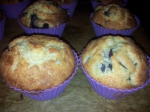 Blåbær muffins